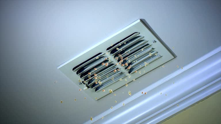 Best HVAC Air Duct Cleaning  in Webb City, MO