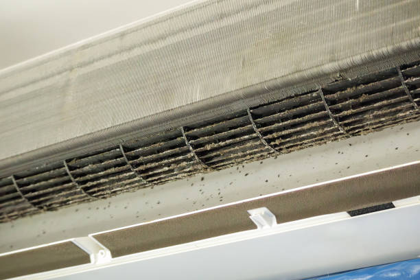 Best Air Duct Cleaning Company Near Me  in Webb City, MO